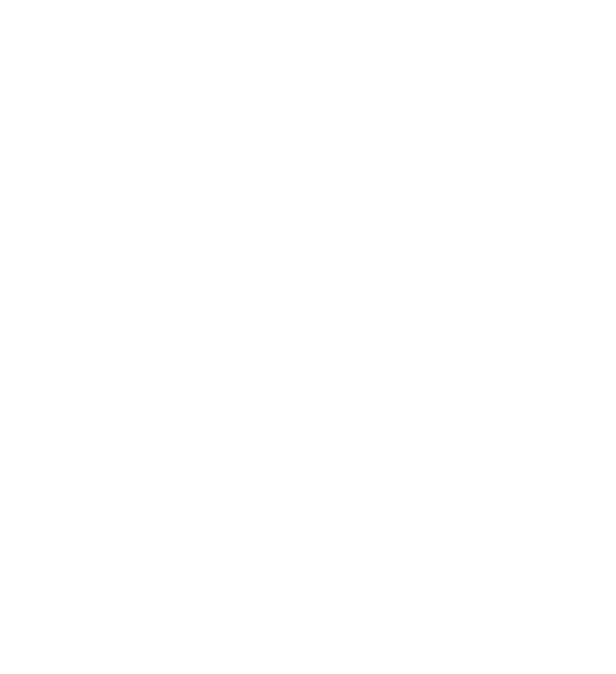 an outline of a medal with a star